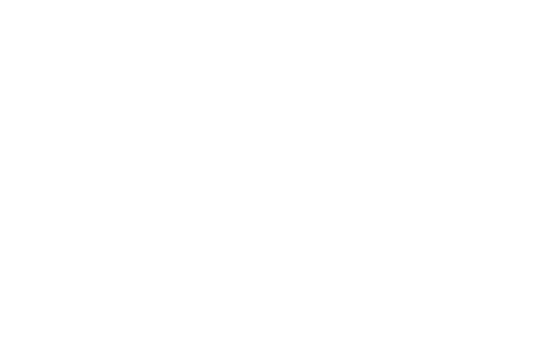 MindFeedBrain logo